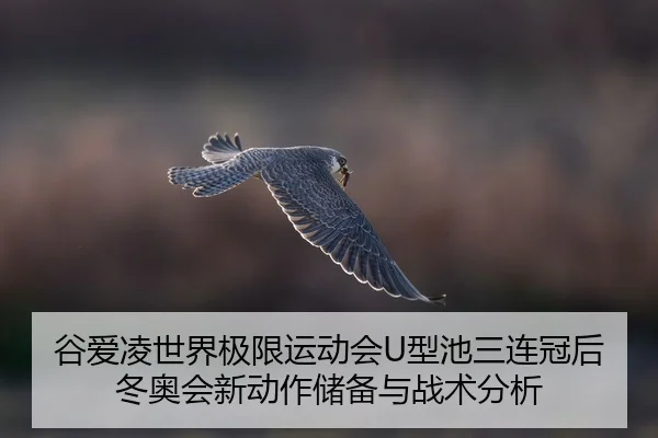 gu-ai-ling-shi-jie-ji-xian-yun-dong-hui-xing-chi-san-lian-guan-hou-dong-ao-hui-xin-dong-zuo-chu-bei-yu-zhan-shu-fen-xi-2-627.jpg